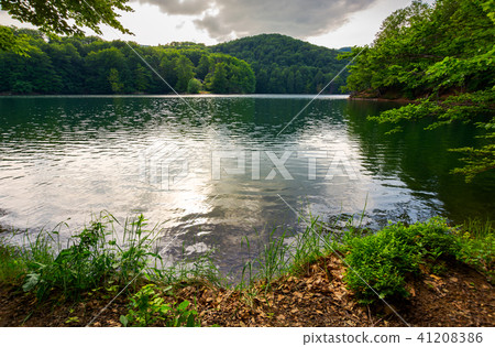 Morske Oko lake among primeval beech forest 41208386