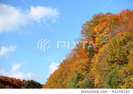 Satoyama autumn leaves in autumn 41209192