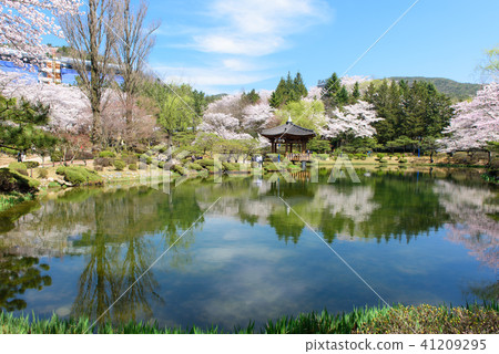 秘密花園 41209295