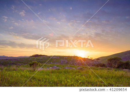 Evening of Hiraodai [Kitakyushu City, Fukuoka Prefecture] 41209654