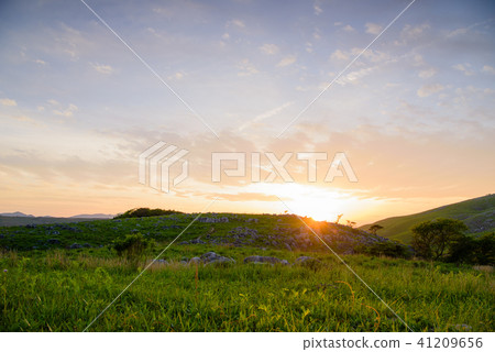 Evening of Hiraodai [Kitakyushu City, Fukuoka Prefecture] 41209656