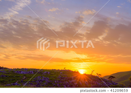 Evening of Hiraodai [Kitakyushu City, Fukuoka Prefecture] 41209659