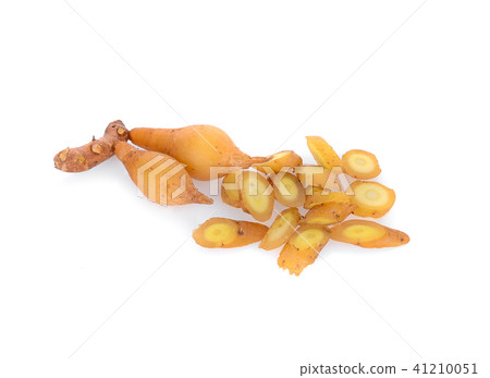Fingerroot group isolated on white background Fingerroot group isolated on white background 41210051