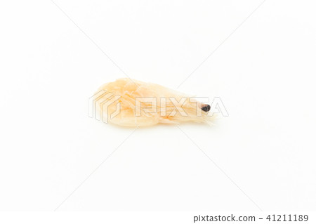 Dried shrimp: Dried boiled shrimp 41211189