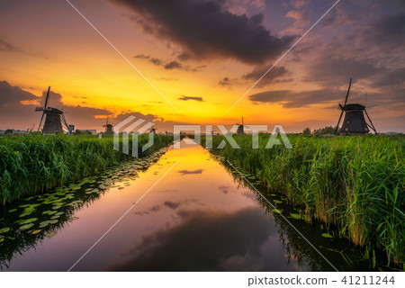 Sunset above old dutch windmills in Kinderdijk, Netherlands 41211244