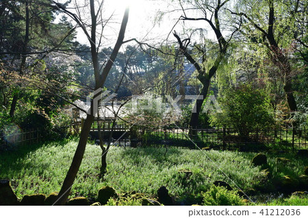 Junichike Park（新潟縣） 41212036