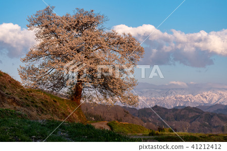 Northern Alps and Ichiyaki Northern Alps and Ichiyaki 41212412