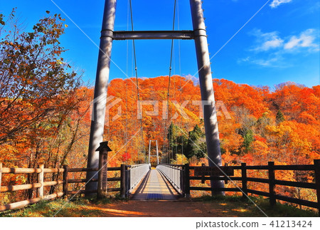 Yamabiko suspension bridge and bright autumn leaves Yamabiko suspension bridge and bright autumn leaves 41213424