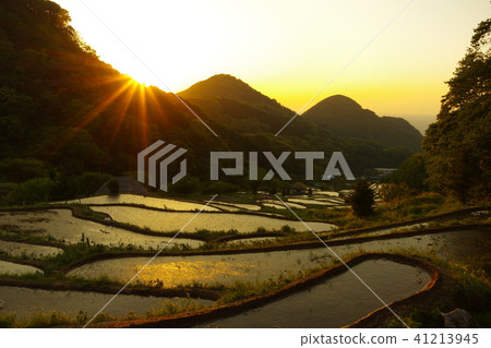 Ishibe rice terrace Evening landscape 41213945