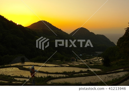 Ishibe rice terrace Evening landscape 41213946