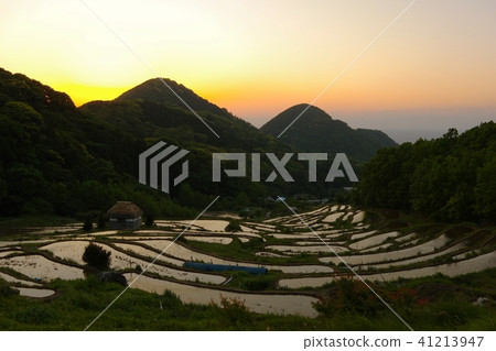Ishibe rice terrace Evening landscape 41213947