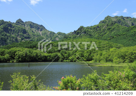 Togakushi Kogen Early Summer Kagamiike 41214209