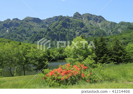 Togakushi Kogen Early Summer Kagamiike 41214408