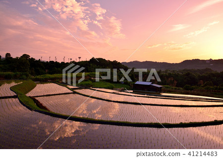 Shimosuka的水稻梯田 41214483