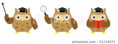Owl teacher set 41214672