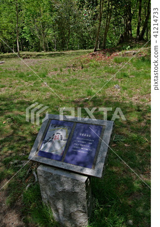 Saplings Castle Ruins 41214733