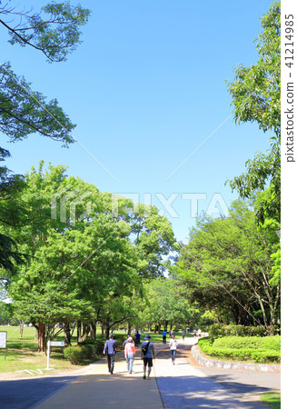 池塘公園_春日市(福岡縣春日市) 池塘公園_春日市(福岡縣春日市) 41214985