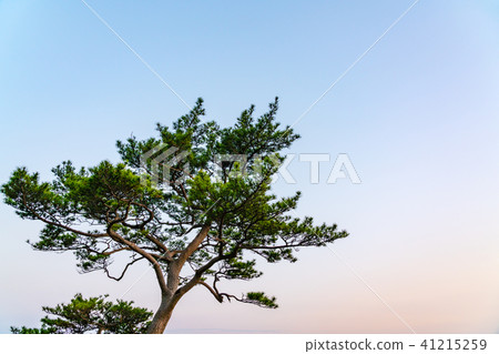 自然形象 41215259