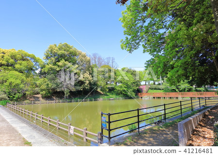 Kamihata池塘春日市同鄉小山歷史公園 Kamihata池塘春日市同鄉小山歷史公園 41216481