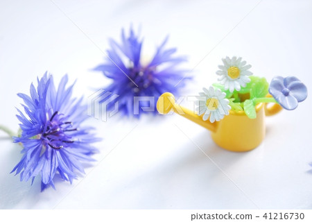 Jouro的花朵 Jouro的花朵 41216730