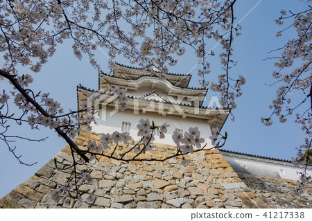 Cherry Akashi Castle's Owner 41217338