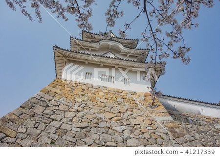Cherry Akashi Castle's Owner 41217339
