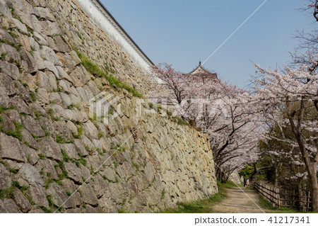 Cherry Akashi Castle's Owner 41217341