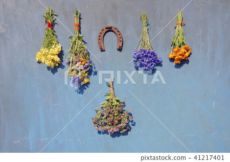 bunch various medical flowers and horseshoe bunch various medical flowers and horseshoe 41217401