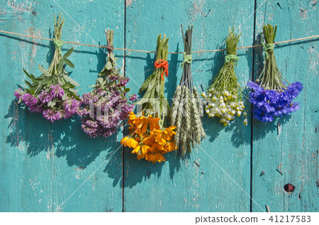 medical and cereal plants bunch on old wall 41217583