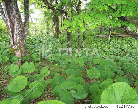 Gentle slope and break table Gentle slope and break table 41217756