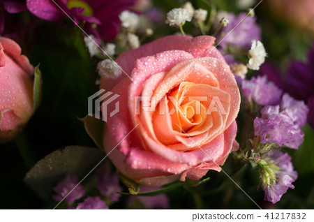 pink and yellow rose in beautiful bouquet. pink and yellow rose in beautiful bouquet. 41217832