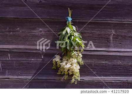 Medical meadowsweet Filipendula ulmaria bunch  41217920