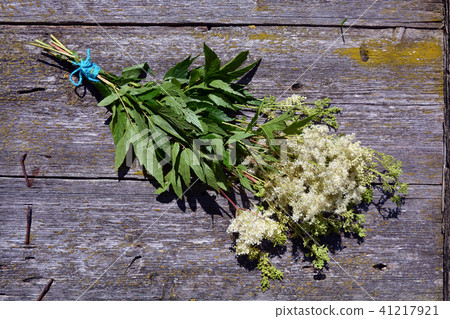 Meadowsweet medical herbs bunch on wooden Meadowsweet medical herbs bunch on wooden 41217921