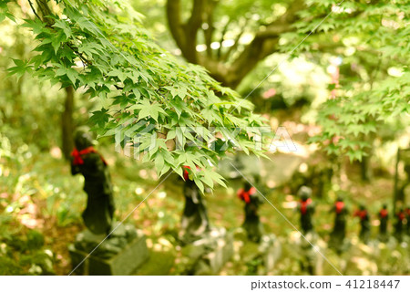 Oyamadera fresh green Oyamadera fresh green 41218447