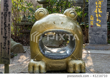 青蛙寺 41218710