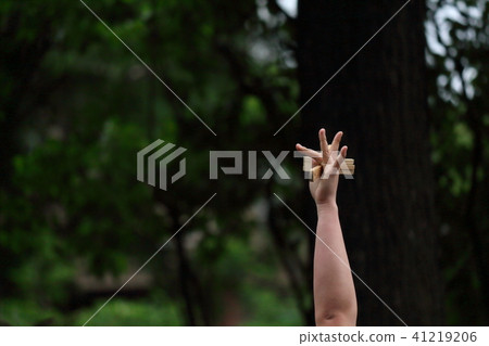 YOSAKOI Soran Festival YOSAKOI Soran Festival 41219206