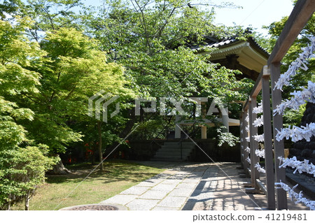 新綠法Tama Tadashi Eiji Fukuro-shi 41219481