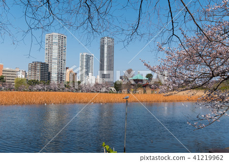 Ueno Park Ueno Park 41219962