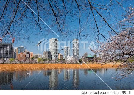 Ueno Park Ueno Park 41219966