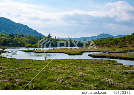 Rikenbuchi The brightness of the plants of the water surface and the marshland Akagi mountain e of June 41220381