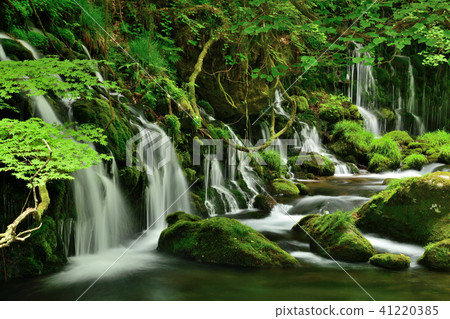 深綠色的瀑布 41220385
