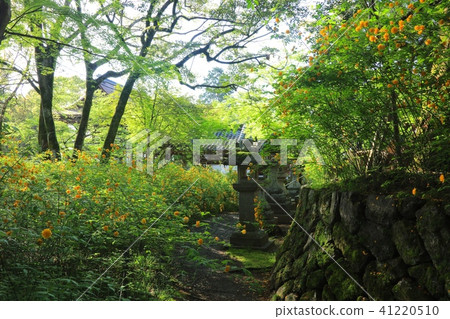 Matsuo Taiseisha's Yamaboki community / Kyoto Prefecture Kyoto City Nishikyo-ku 41220510