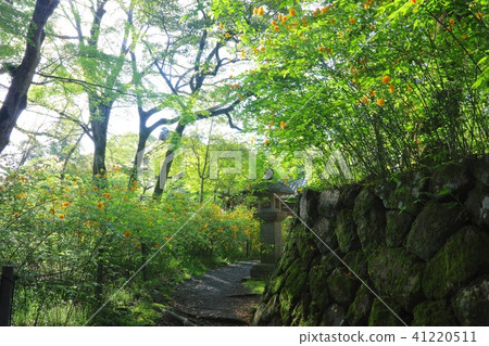 Matsuo Taiseisha's Yamaboki community / Kyoto Prefecture Kyoto City Nishikyo-ku 41220511