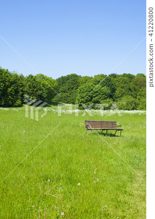 Scenery with bench 41220800