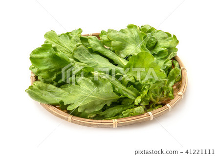 Ooba leaves Ooba leaves 41221111