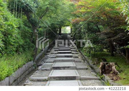 Kyoto Nene no Michi(北坂坂) Kyoto Nene no Michi(北坂坂) 41222218