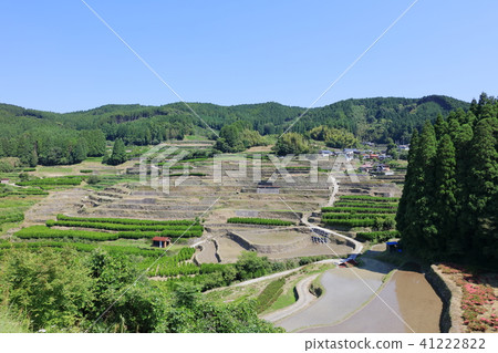  Shikari (rolled) terraced rice fields _ Fukuoka Prefecture Yame city Hoshinomura _ water paste / scratching 41222822