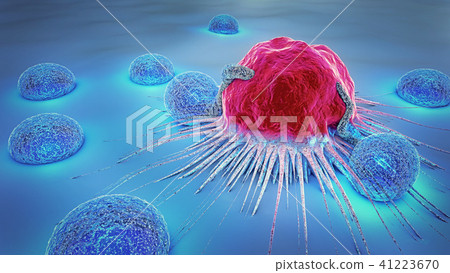 3d illustration of a cancer cell and lymphocytes 3d illustration of a cancer cell and lymphocytes 41223670