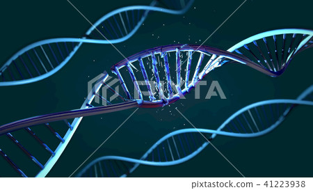 damaged ribonucleic acid or dna strand 41223938