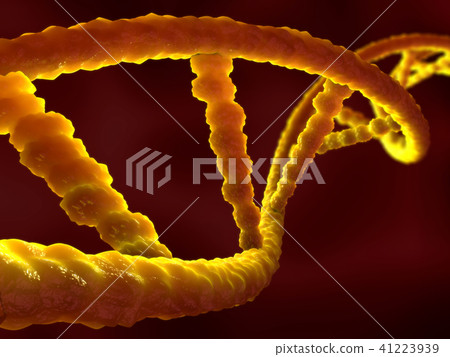 damaged ribonucleic acid or dna strand 41223939